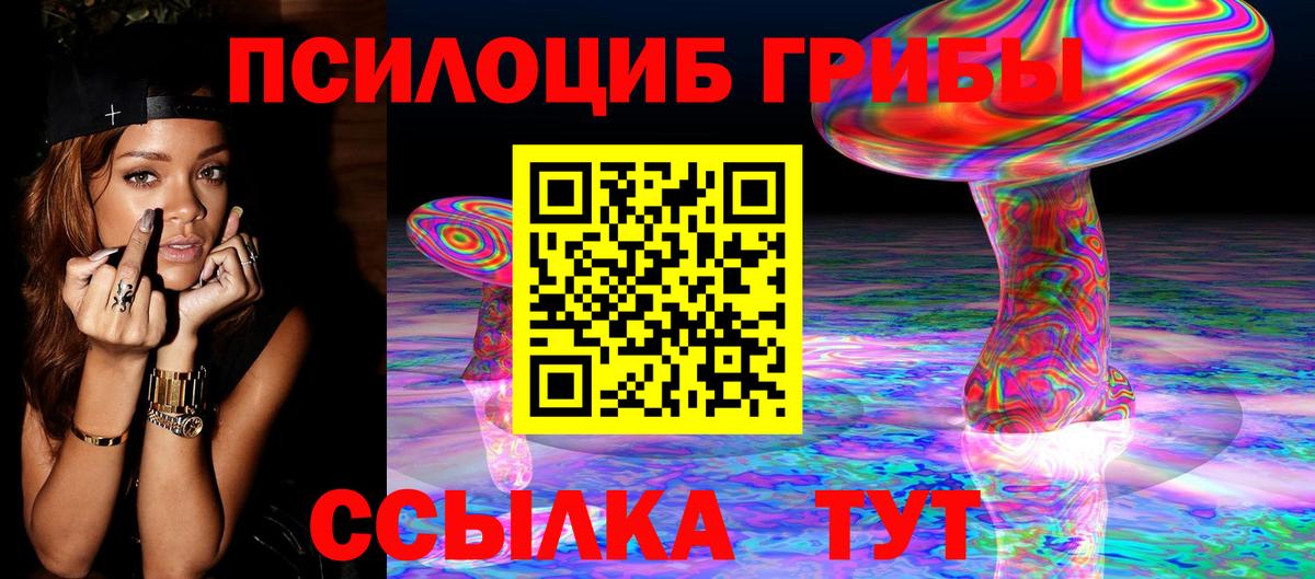 Псилоцибиновые грибы прущие грибы Новоалександровск